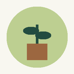 Original geometric seedling keepsake teaching art.